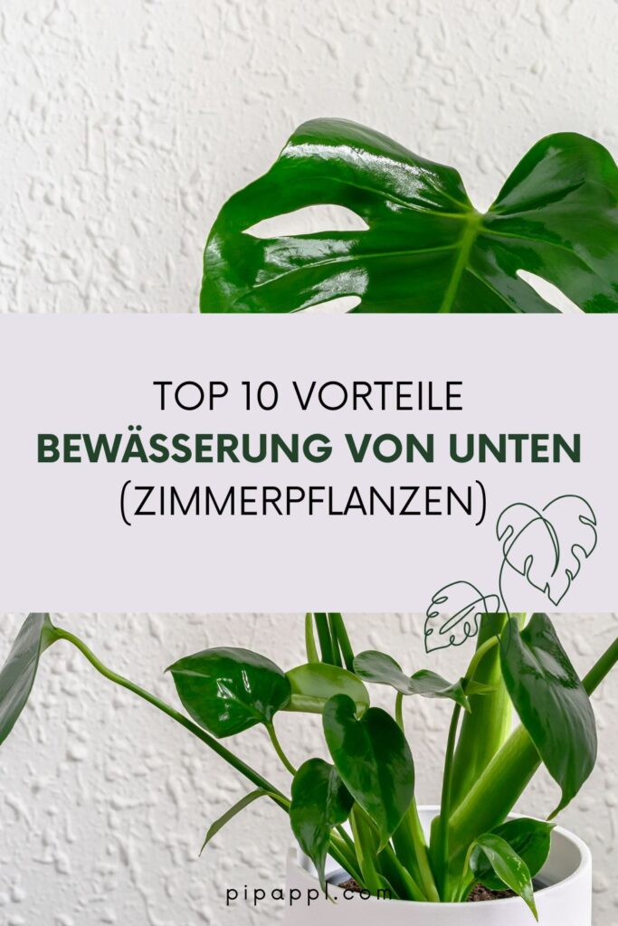 Top 10 Vorteile der Bewässerung von unten