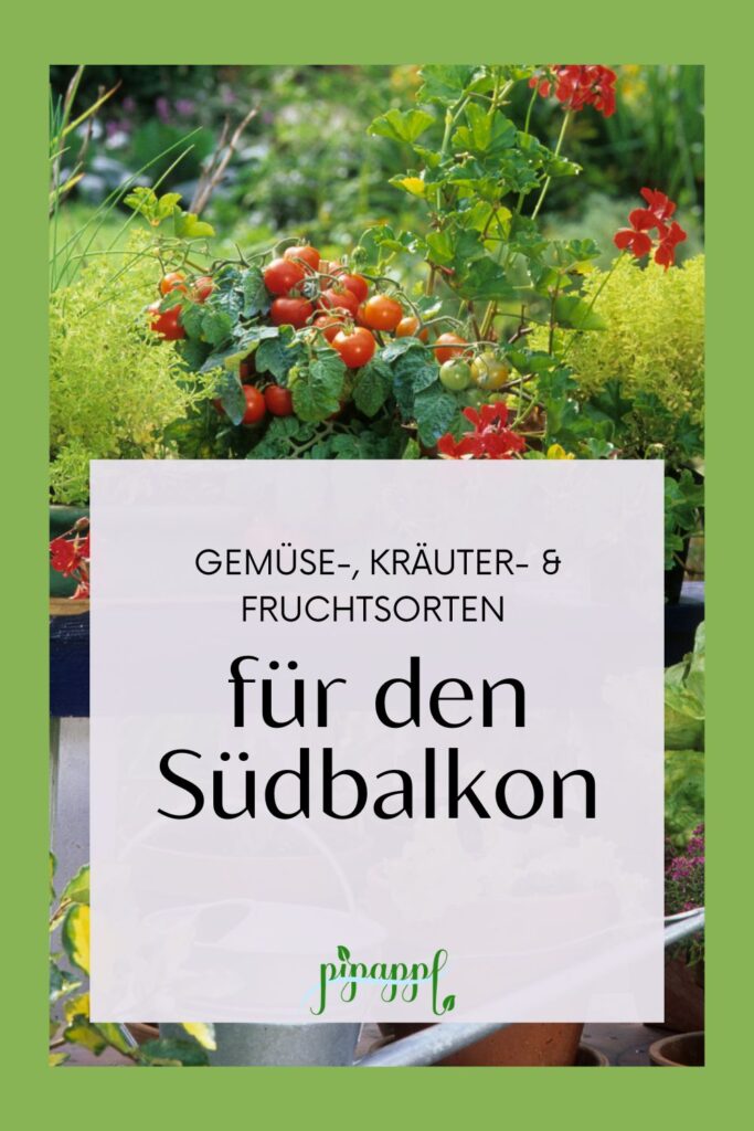 Gemüse für den Südbalkon